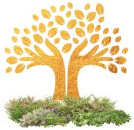 Formulario de contacto Comunidad del sol