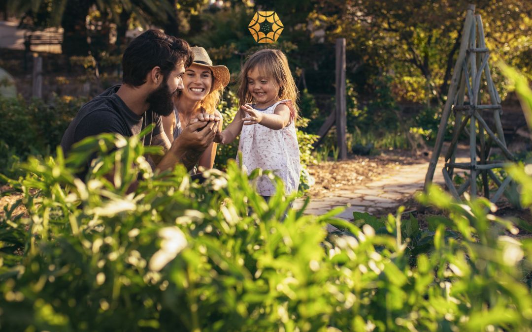 Familias, ¡Es Hora de Construir el Hogar de tus Sueños y Co-crear la Comunidad del Sol!